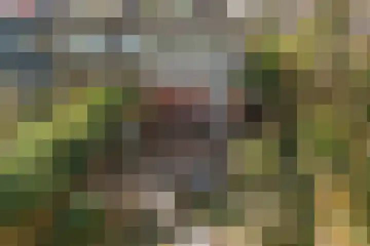 Roer 66 Groningen thumbnail 39