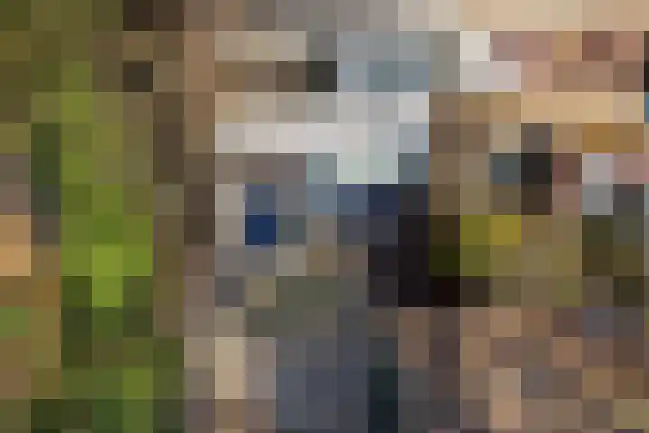 Roer 66 Groningen thumbnail 4