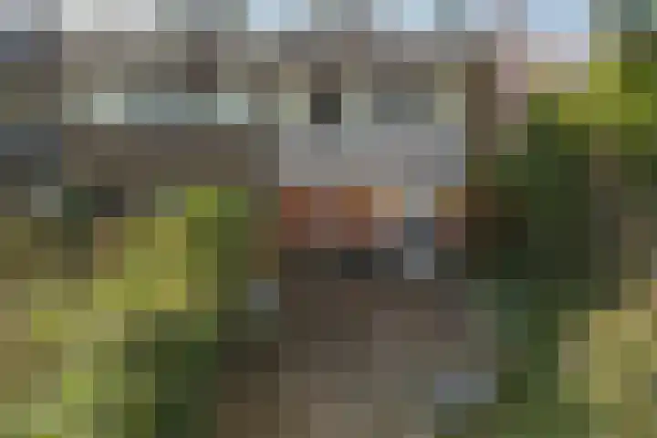 Roer 66 Groningen thumbnail 40
