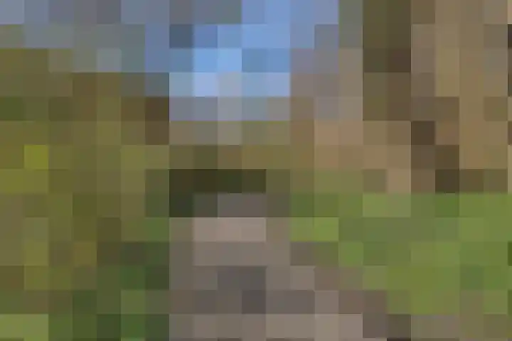 Roer 66 Groningen thumbnail 41