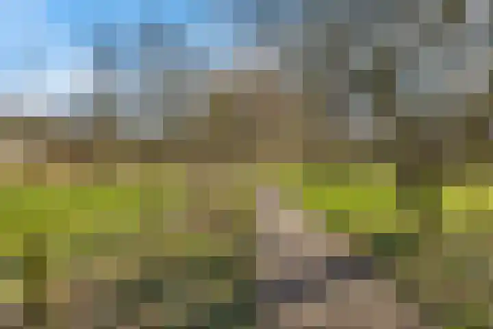 Roer 66 Groningen thumbnail 42