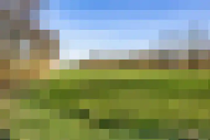 Roer 66 Groningen thumbnail 43