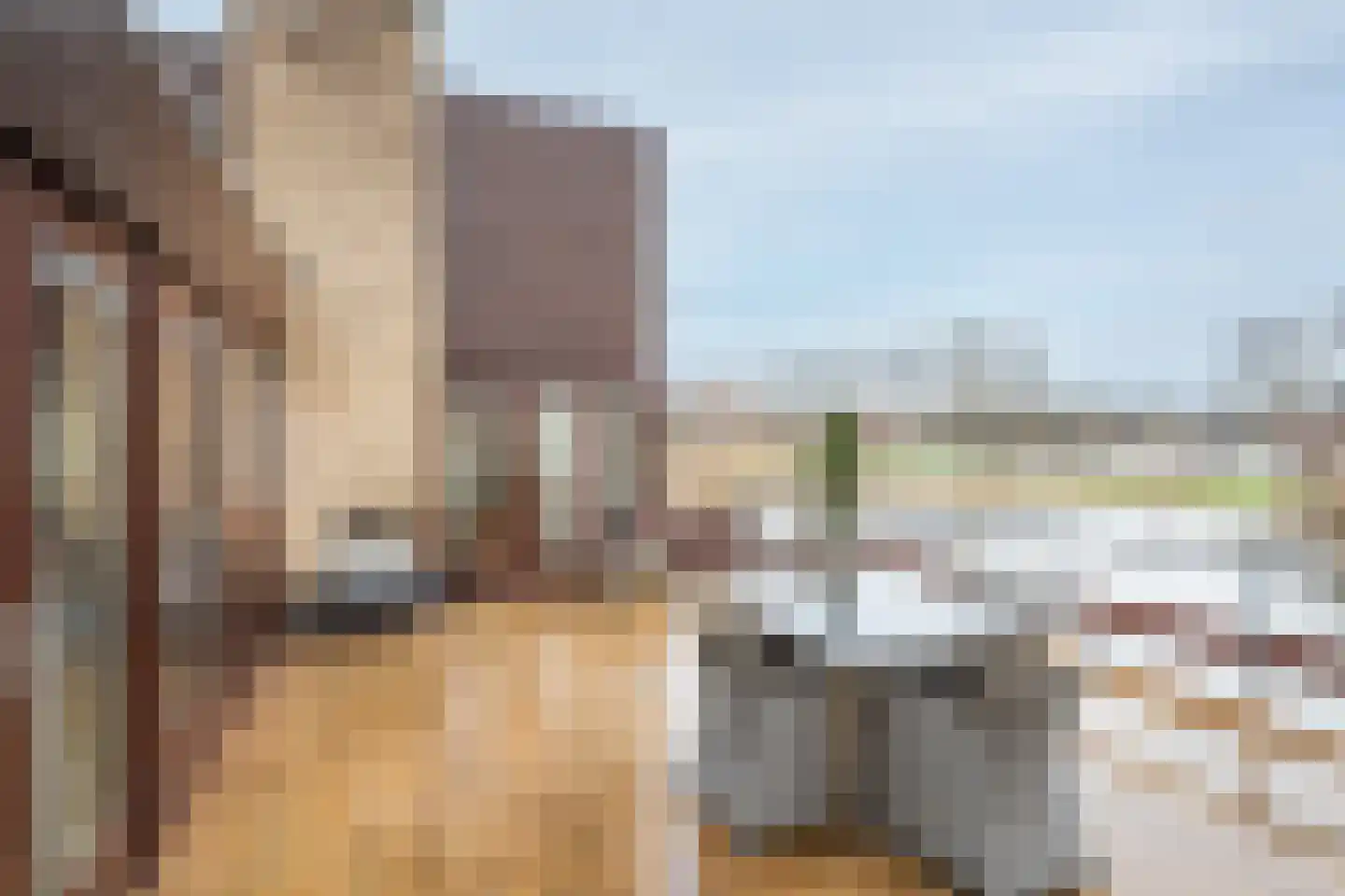 Roerdal 23 Capelle aan den IJssel thumbnail 32