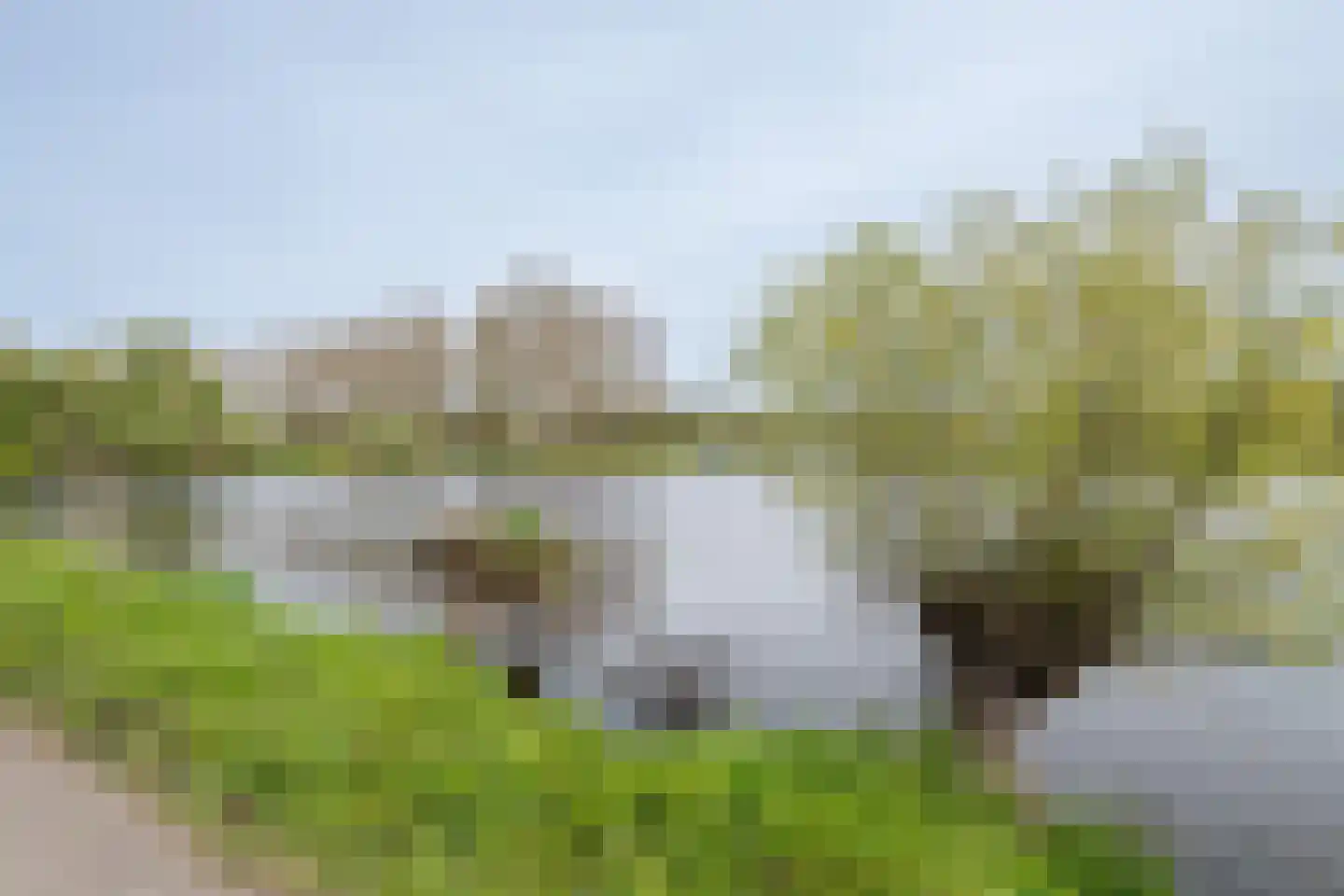 Roerdal 23 Capelle aan den IJssel thumbnail 43