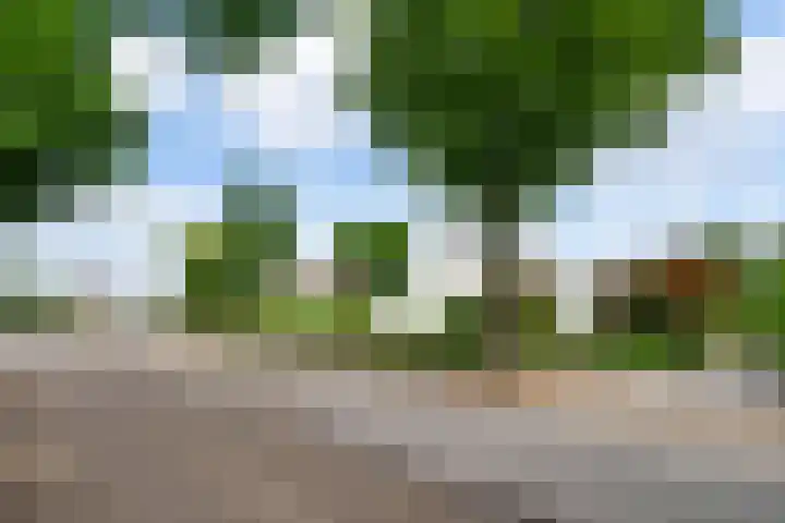 Roerderweg 34 Roermond thumbnail 27