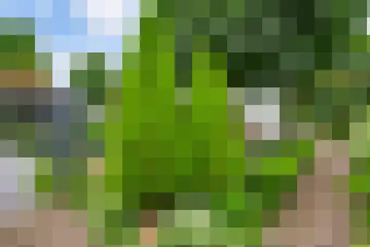 Roerderweg 34 Roermond thumbnail 30