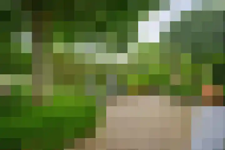 Roerderweg 34 Roermond thumbnail 31