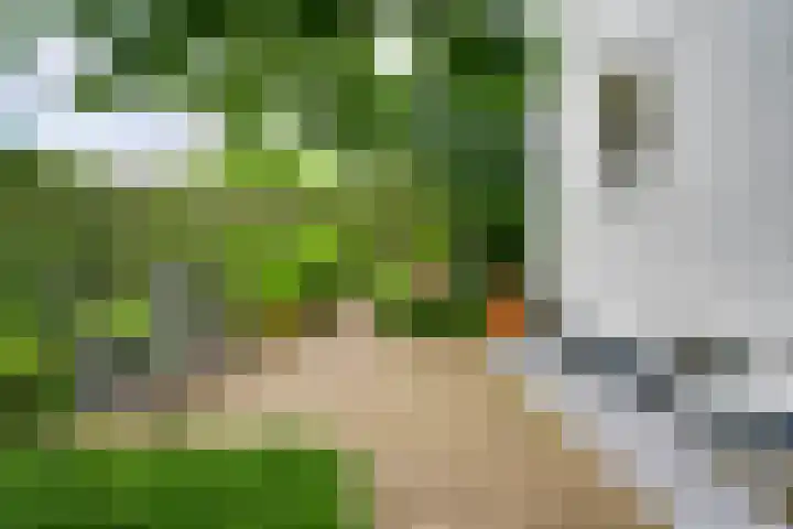 Roerderweg 34 Roermond thumbnail 32