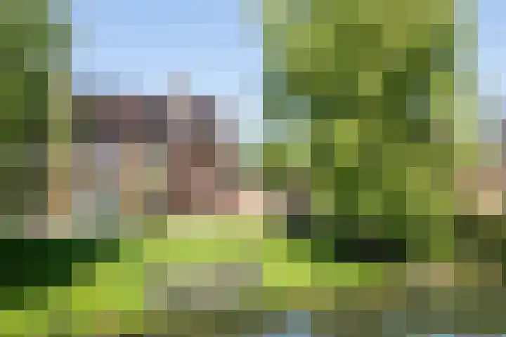 Roerdomp 1 Ridderkerk