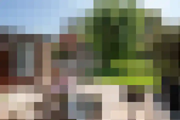 Roerdomp 1 Ridderkerk thumbnail 11