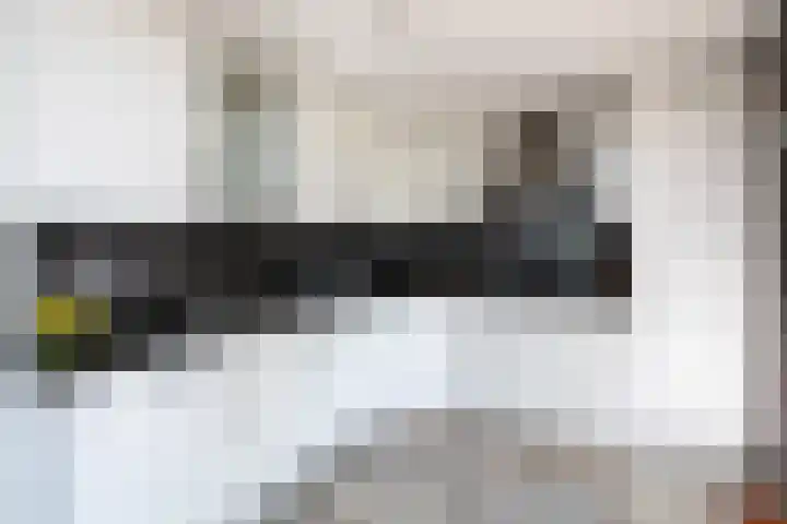 Roerdomp 1 Ridderkerk thumbnail 16