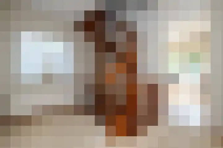 Roerdomp 1 Ridderkerk thumbnail 19