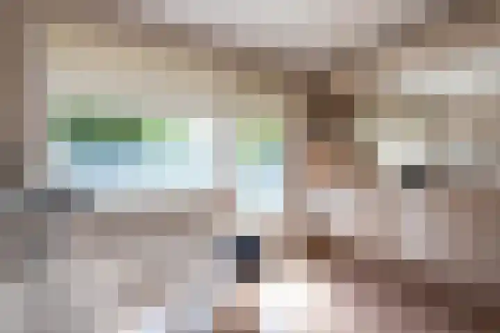 Roerdomp 1 Ridderkerk thumbnail 20