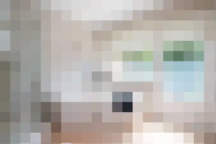 Roerdomp 1 Ridderkerk thumbnail 21