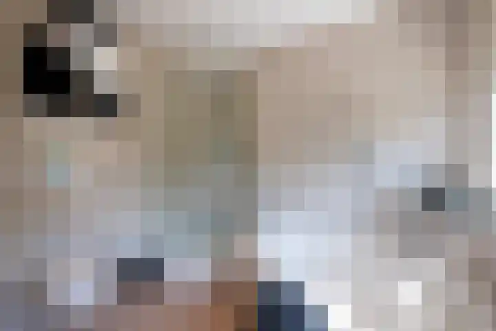 Roerdomp 1 Ridderkerk thumbnail 22