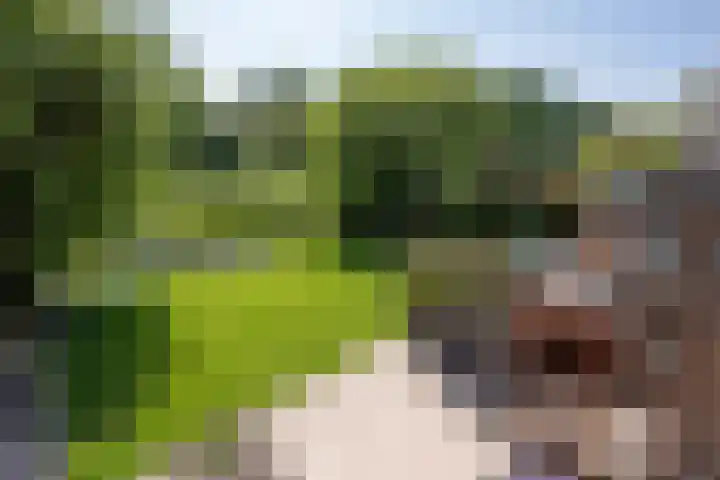 Roerdomp 1 Ridderkerk thumbnail 24