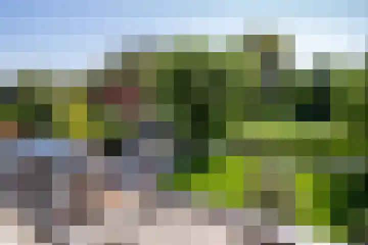 Roerdomp 1 Ridderkerk thumbnail 25