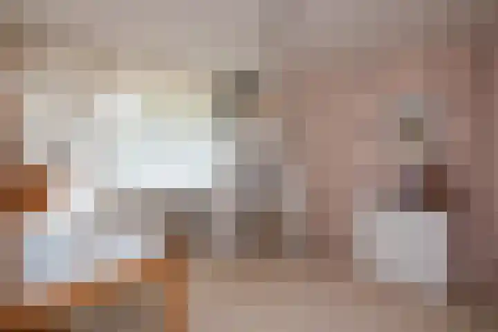 Roerdomp 1 Ridderkerk thumbnail 28