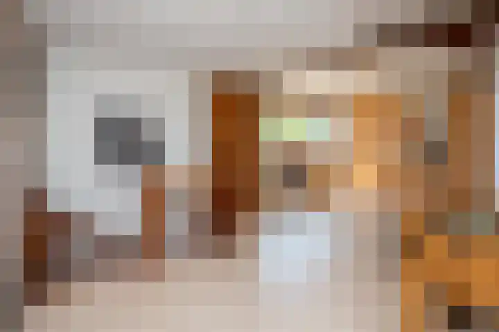 Roerdomp 1 Ridderkerk thumbnail 33
