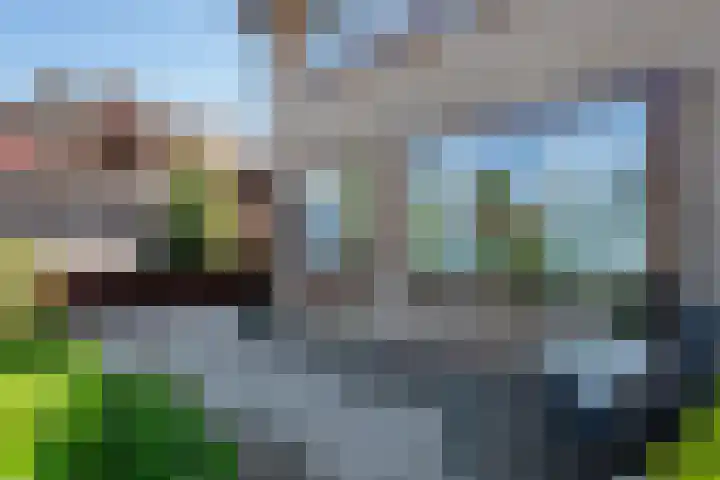 Roerdomp 1 Ridderkerk thumbnail 35