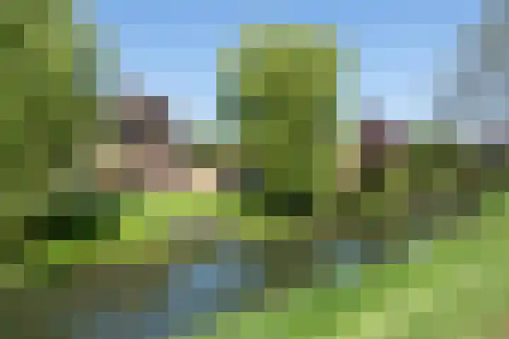 Roerdomp 1 Ridderkerk thumbnail 38