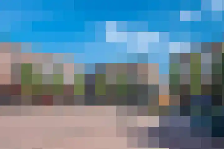 Roerdomp 1 Ridderkerk thumbnail 47