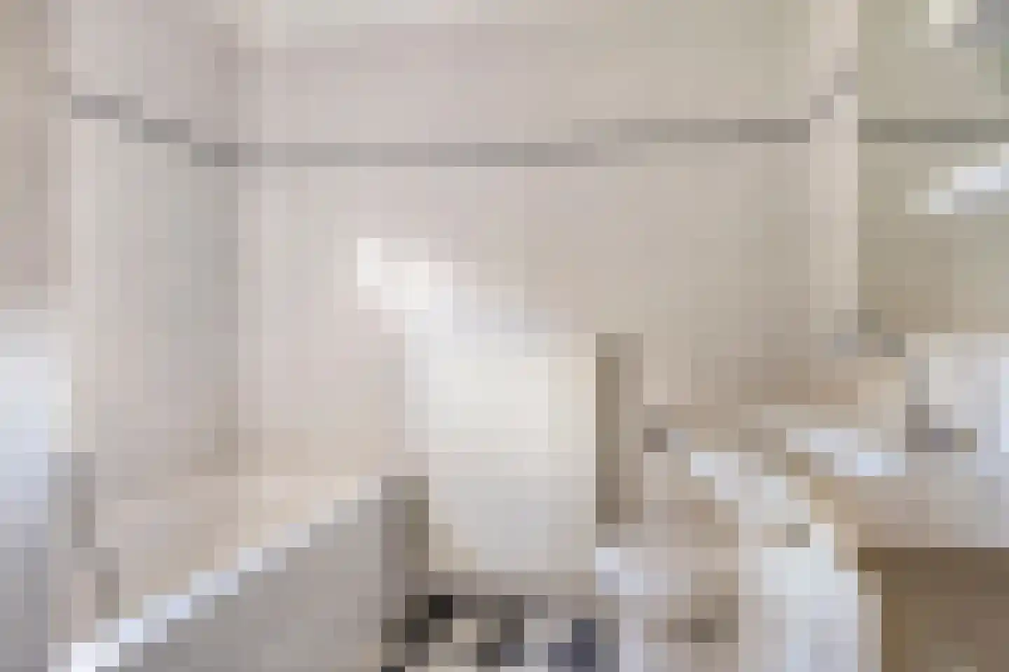 Roerdomp 1 Terneuzen thumbnail 22