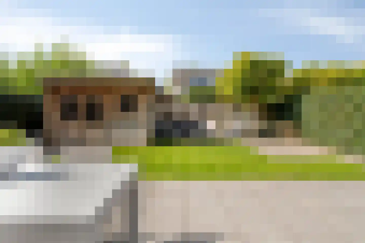 Roerdomp 1 Terneuzen thumbnail 24