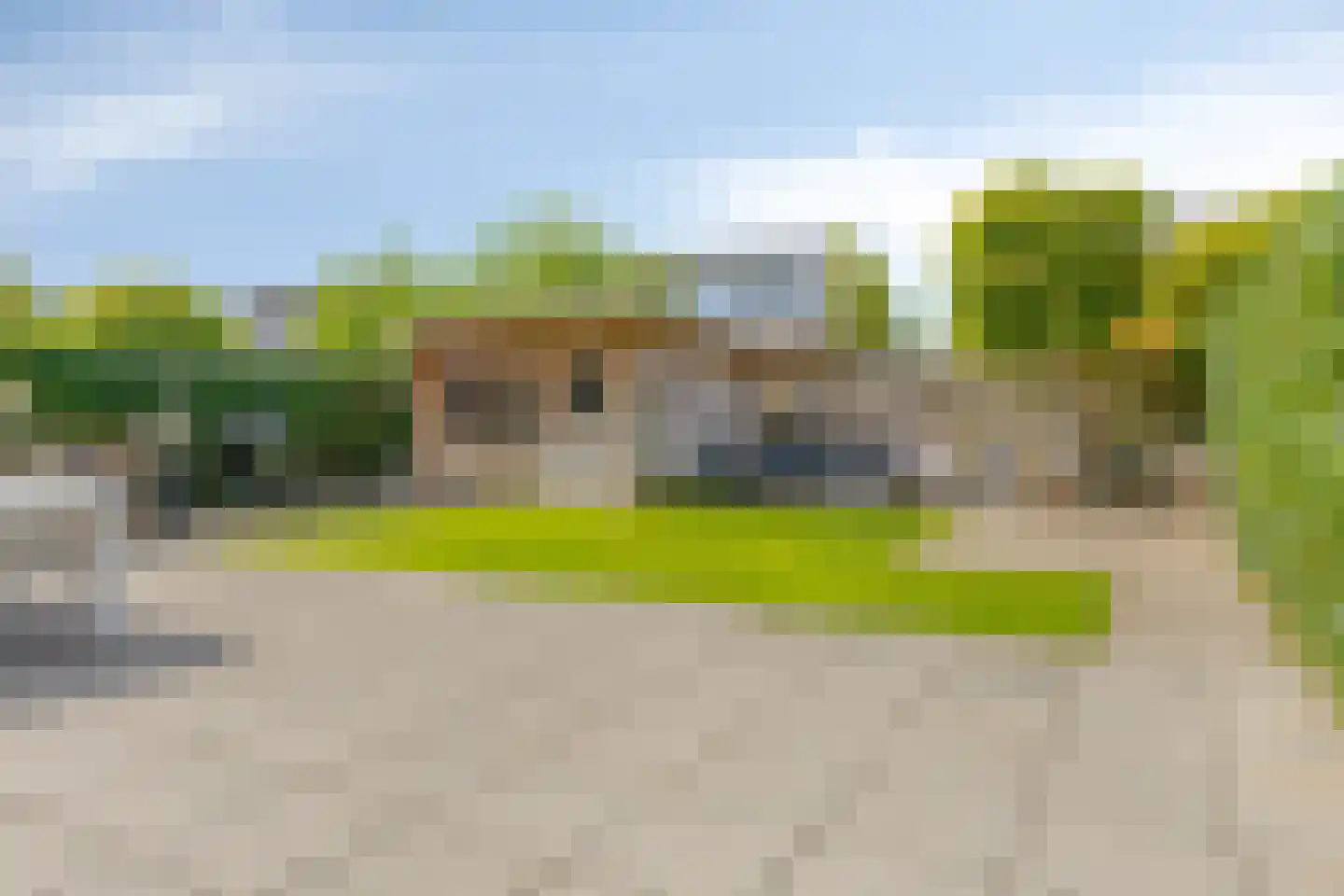 Roerdomp 1 Terneuzen thumbnail 25