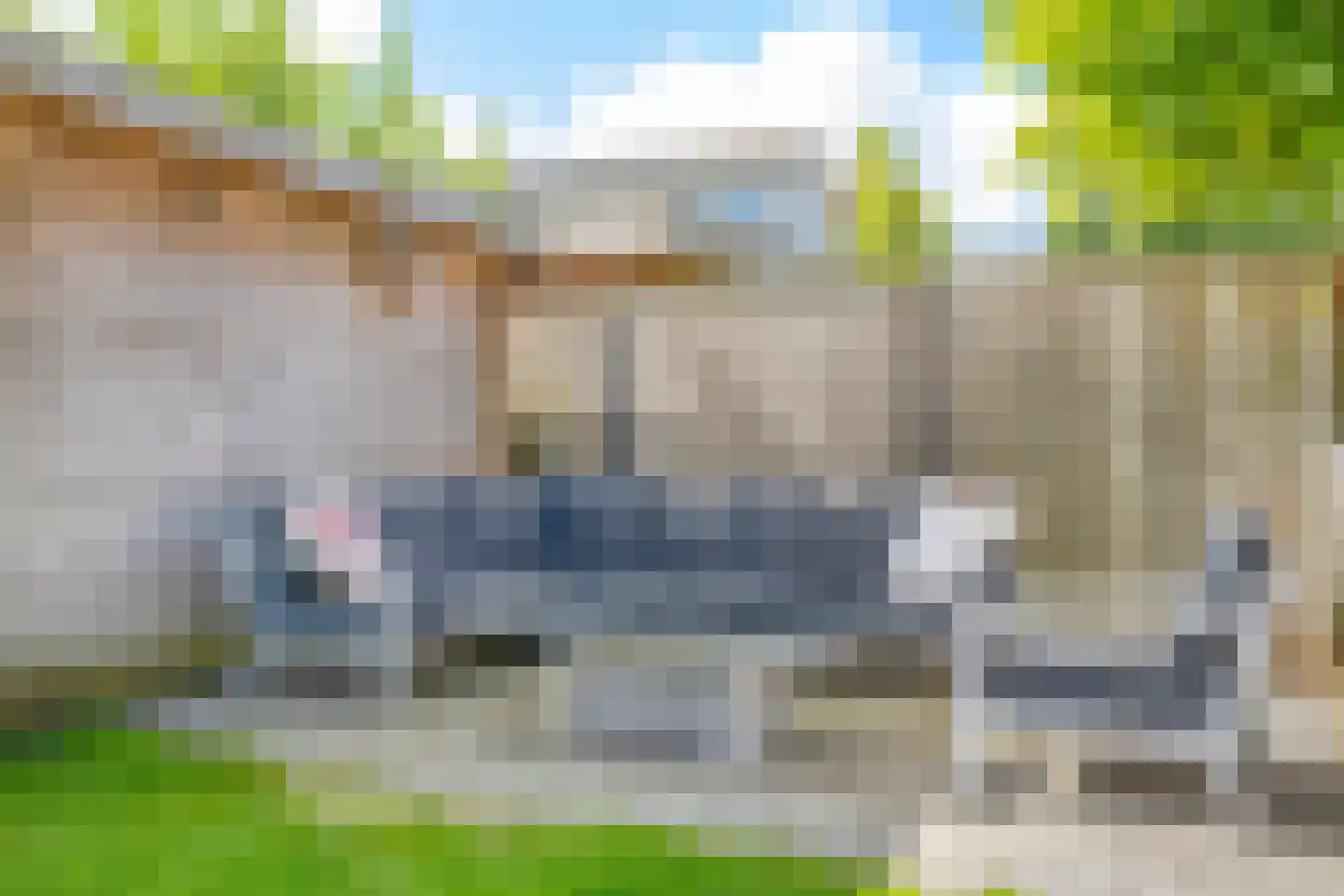 Roerdomp 1 Terneuzen thumbnail 26