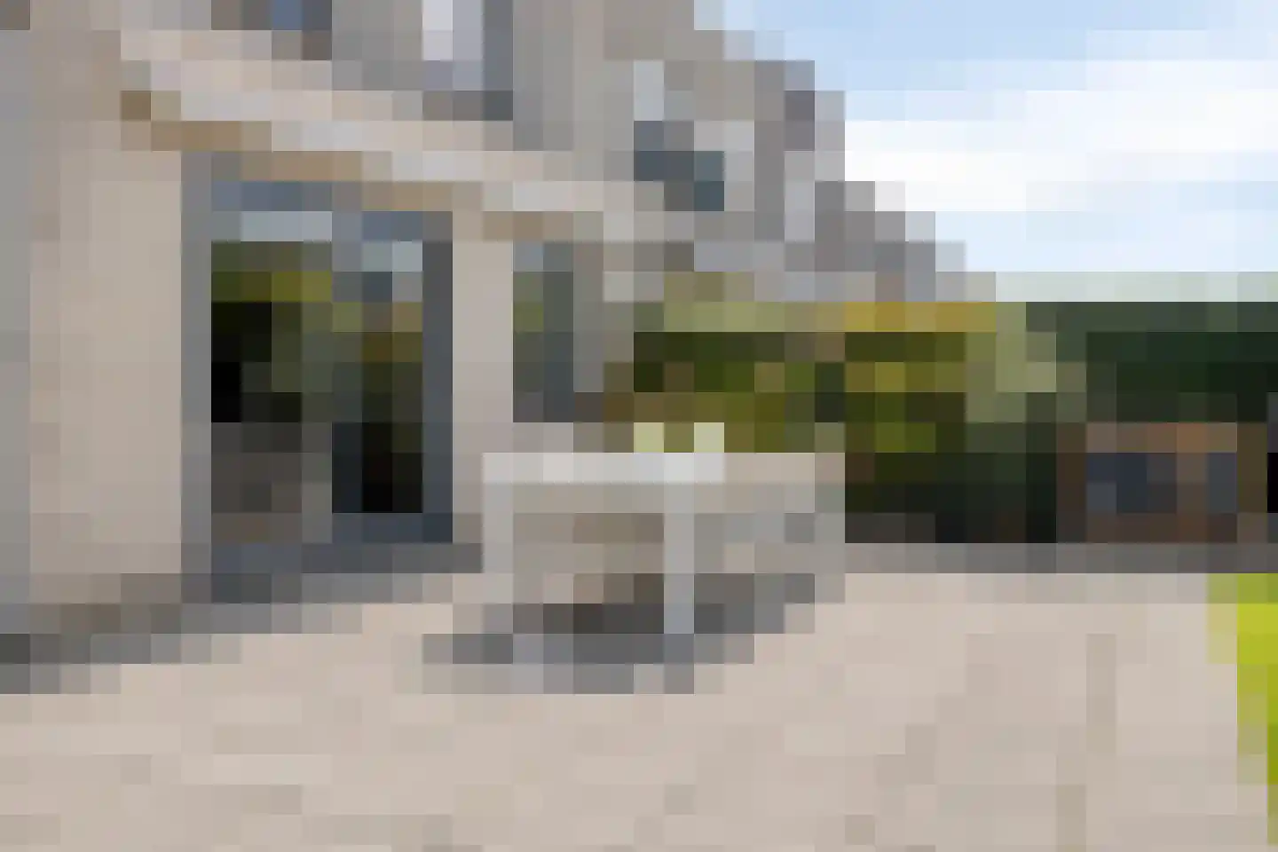 Roerdomp 1 Terneuzen thumbnail 27