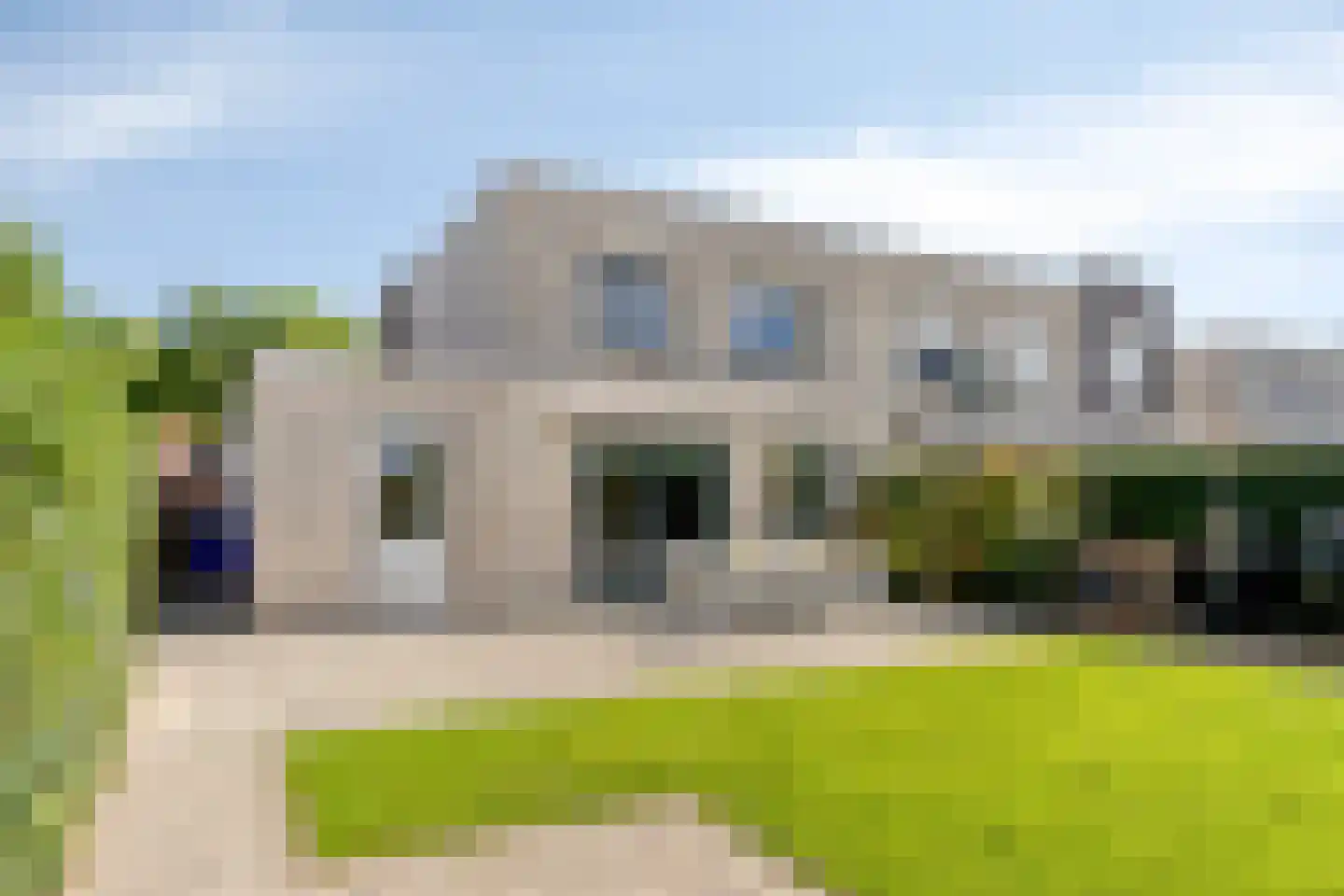 Roerdomp 1 Terneuzen thumbnail 28