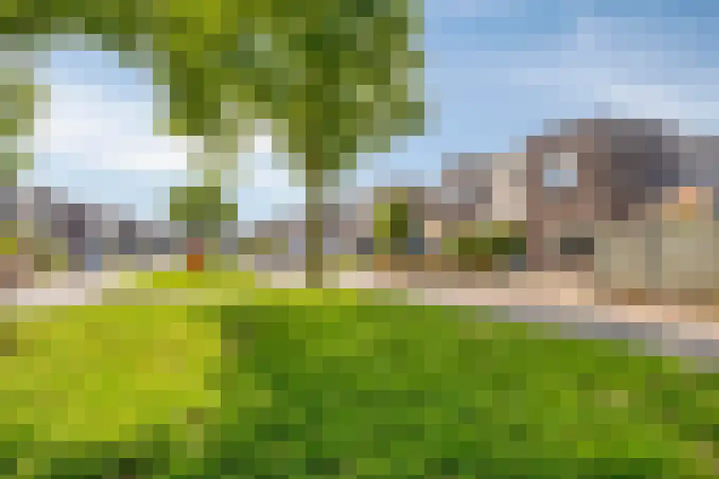 Roerdomp 1 Terneuzen thumbnail 31
