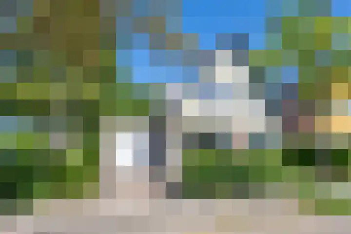 Roerdomp 10 en Ilpendam