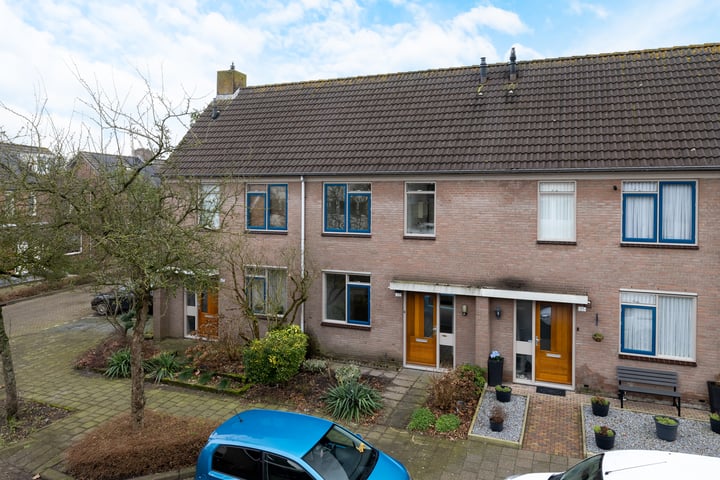 Roerdomp 123 in Etten-Leur Foto