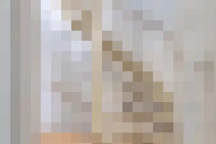 Roerdomp 14 's-Hertogenbosch thumbnail 12