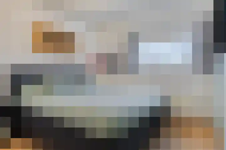 Roerdomp 14 's-Hertogenbosch thumbnail 13