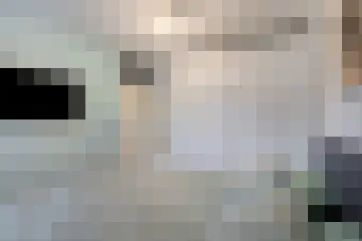 Roerdomp 14 's-Hertogenbosch thumbnail 14