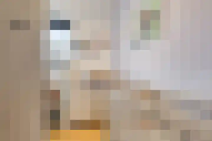 Roerdomp 14 's-Hertogenbosch thumbnail 16
