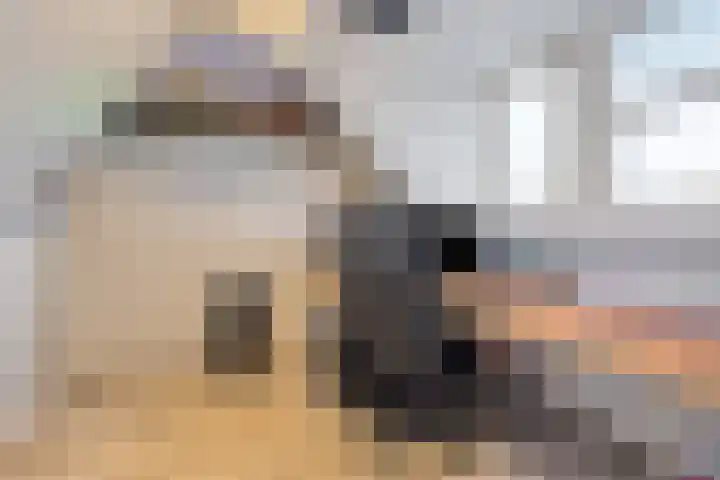 Roerdomp 14 's-Hertogenbosch thumbnail 21