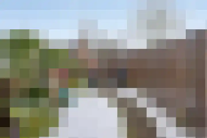 Roerdomp 14 's-Hertogenbosch thumbnail 22