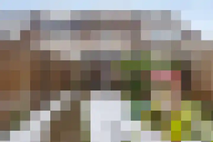Roerdomp 14 's-Hertogenbosch thumbnail 24