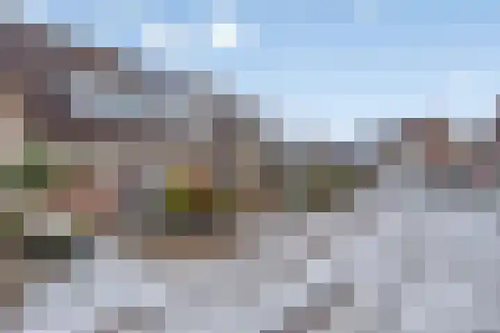 Roerdomp 14 's-Hertogenbosch thumbnail 26