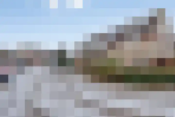 Roerdomp 14 's-Hertogenbosch thumbnail 27