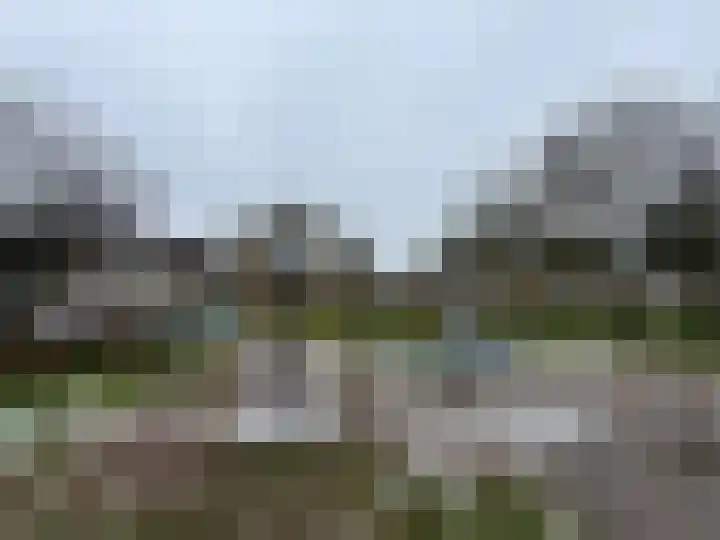 Roerdomp 14 's-Hertogenbosch thumbnail 28
