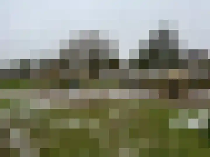 Roerdomp 14 's-Hertogenbosch thumbnail 29