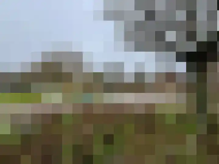 Roerdomp 14 's-Hertogenbosch thumbnail 31