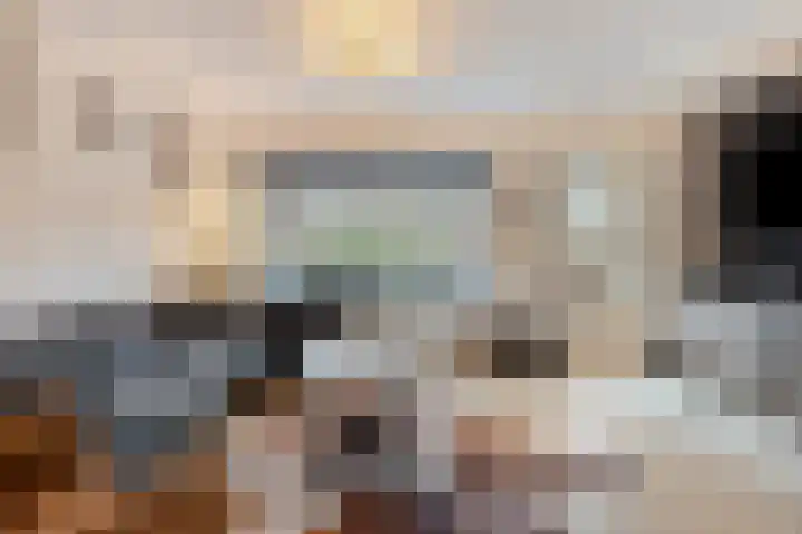 Roerdomp 14 's-Hertogenbosch thumbnail 4