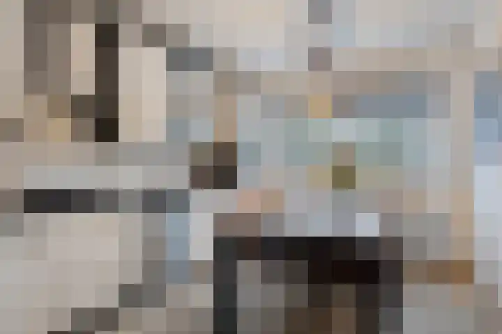 Roerdomp 14 's-Hertogenbosch thumbnail 5