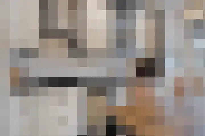 Roerdomp 14 's-Hertogenbosch thumbnail 6